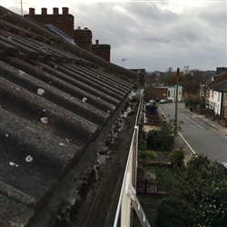 Gutter filled with moss after cleaning, Ipswich Suffolk